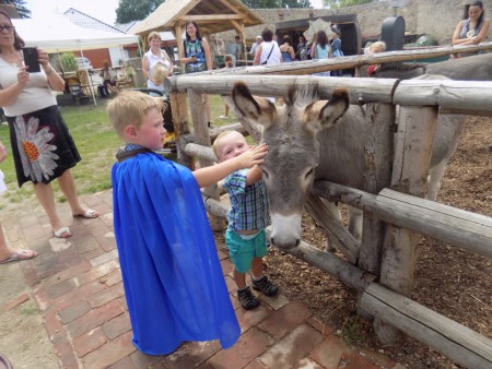 pohadkova-kovarna-selibov - pohadkovi-oslici